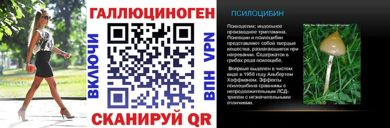 Псилоцибиновые грибы GOLDEN TEACHER  наркошоп  сайты даркнета какой сайт  Усолье-Сибирское 